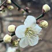 ヒメ日記 2025/02/28 00:52 投稿 ひろ 素人妻御奉仕倶楽部Hip's松戸店