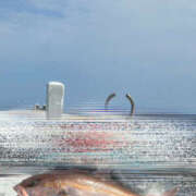 ヒメ日記 2025/03/11 17:58 投稿 ひろ 素人妻御奉仕倶楽部Hip's松戸店