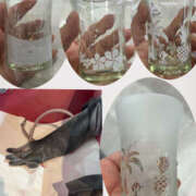 ヒメ日記 2025/03/17 22:28 投稿 ひろ 素人妻御奉仕倶楽部Hip's松戸店