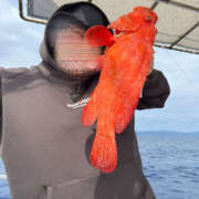 ヒメ日記 2025/03/18 10:46 投稿 ひろ 素人妻御奉仕倶楽部Hip's松戸店