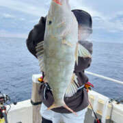 ヒメ日記 2025/03/18 14:45 投稿 ひろ 素人妻御奉仕倶楽部Hip's松戸店