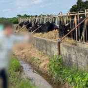 ヒメ日記 2025/03/20 06:48 投稿 ひろ 素人妻御奉仕倶楽部Hip's松戸店