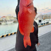 ヒメ日記 2025/03/20 23:58 投稿 ひろ 素人妻御奉仕倶楽部Hip's松戸店