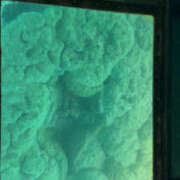 ヒメ日記 2025/03/21 14:08 投稿 ひろ 素人妻御奉仕倶楽部Hip's松戸店