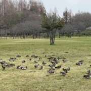 ヒメ日記 2025/03/27 11:08 投稿 ひろ 素人妻御奉仕倶楽部Hip's松戸店