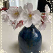 ヒメ日記 2025/03/31 09:28 投稿 ひろ 素人妻御奉仕倶楽部Hip's松戸店