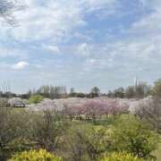 ヒメ日記 2025/04/07 10:05 投稿 ひろ 素人妻御奉仕倶楽部Hip's松戸店