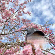 ヒメ日記 2025/04/08 08:48 投稿 ひろ 素人妻御奉仕倶楽部Hip's松戸店