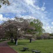 ヒメ日記 2025/04/14 08:56 投稿 ひろ 素人妻御奉仕倶楽部Hip's松戸店