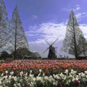 ヒメ日記 2025/04/15 11:06 投稿 ひろ 素人妻御奉仕倶楽部Hip's松戸店