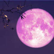 ヒメ日記 2025/04/15 23:56 投稿 ひろ 素人妻御奉仕倶楽部Hip's松戸店