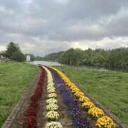 ヒメ日記 2025/04/21 06:56 投稿 ひろ 素人妻御奉仕倶楽部Hip's松戸店