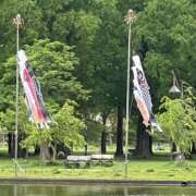 ヒメ日記 2025/04/25 07:06 投稿 ひろ 素人妻御奉仕倶楽部Hip's松戸店