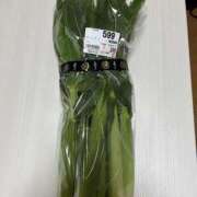 ヒメ日記 2025/04/28 00:36 投稿 ひろ 素人妻御奉仕倶楽部Hip's松戸店