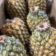 ヒメ日記 2025/05/04 17:16 投稿 ひろ 素人妻御奉仕倶楽部Hip's松戸店