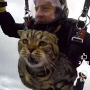 ヒメ日記 2025/05/06 22:36 投稿 ひろ 素人妻御奉仕倶楽部Hip's松戸店