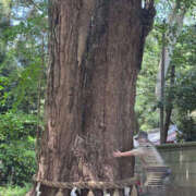 ヒメ日記 2025/05/08 07:56 投稿 ひろ 素人妻御奉仕倶楽部Hip's松戸店