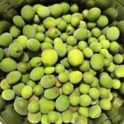 ヒメ日記 2025/05/08 08:56 投稿 ひろ 素人妻御奉仕倶楽部Hip's松戸店