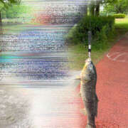 ヒメ日記 2025/05/09 08:06 投稿 ひろ 素人妻御奉仕倶楽部Hip's松戸店