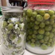 ヒメ日記 2025/05/11 22:56 投稿 ひろ 素人妻御奉仕倶楽部Hip's松戸店