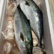 ヒメ日記 2025/05/24 02:45 投稿 ひろ 素人妻御奉仕倶楽部Hip's松戸店