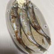 ヒメ日記 2025/06/03 23:50 投稿 ひろ 素人妻御奉仕倶楽部Hip's松戸店