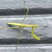 ヒメ日記 2025/06/08 13:31 投稿 ひろ 素人妻御奉仕倶楽部Hip's松戸店