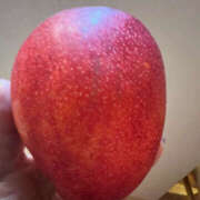 ヒメ日記 2025/06/11 20:11 投稿 ひろ 素人妻御奉仕倶楽部Hip's松戸店