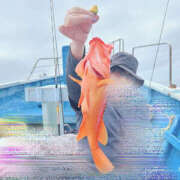 ヒメ日記 2025/06/13 02:41 投稿 ひろ 素人妻御奉仕倶楽部Hip's松戸店