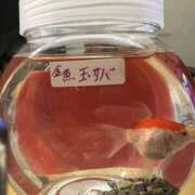 ヒメ日記 2025/06/13 05:01 投稿 ひろ 素人妻御奉仕倶楽部Hip's松戸店