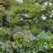 ヒメ日記 2025/06/15 07:58 投稿 ひろ 素人妻御奉仕倶楽部Hip's松戸店