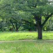 ヒメ日記 2025/06/20 07:28 投稿 ひろ 素人妻御奉仕倶楽部Hip's松戸店