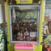 ヒメ日記 2025/06/24 21:28 投稿 ひろ 素人妻御奉仕倶楽部Hip's松戸店