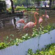 ヒメ日記 2024/12/17 12:20 投稿 みしま 人妻・熟女の楽園　足利店