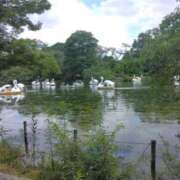 ヒメ日記 2024/12/18 11:43 投稿 みしま 人妻・熟女の楽園　足利店