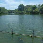 ヒメ日記 2024/12/28 10:36 投稿 みしま 人妻・熟女の楽園　足利店