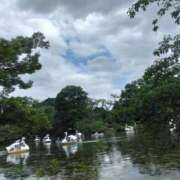 ヒメ日記 2025/01/27 12:26 投稿 みしま 人妻・熟女の楽園　足利店