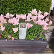 ヒメ日記 2026/04/16 08:54 投稿 みしま 人妻・熟女の楽園　足利店