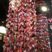 ヒメ日記 2026/02/12 17:39 投稿 舞 浜松人妻援護会