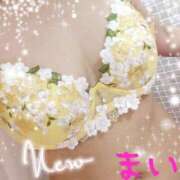 ヒメ日記 2026/06/12 18:48 投稿 舞【花つばきコース】 浜松人妻援護会