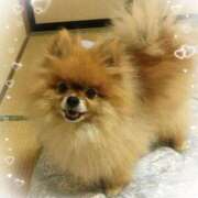 ヒメ日記 2026/02/07 11:30 投稿 多摩子 浜松人妻援護会