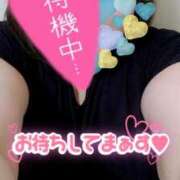 ヒメ日記 2025/05/12 13:18 投稿 内田みきえ 大阪ぽっちゃり妻