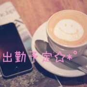 内田みきえ 出勤予定☆*ﾟ 大阪ぽっちゃり妻