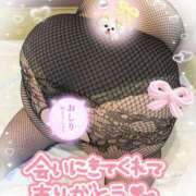 ヒメ日記 2026/06/08 09:02 投稿 内田みきえ 大阪ぽっちゃり妻