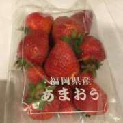 ヒメ日記 2025/04/03 02:05 投稿 安田あきこ イエスグループ熊本 華女