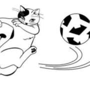 ヒメ日記 2025/04/25 12:19 投稿 安田あきこ イエスグループ熊本 華女