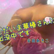 ヒメ日記 2025/07/23 13:04 投稿 安田あきこ イエスグループ熊本 華女