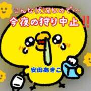ヒメ日記 2026/03/14 16:36 投稿 安田あきこ イエスグループ熊本 華女
