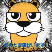 ヒメ日記 2026/06/05 15:18 投稿 安田あきこ イエスグループ熊本 華女