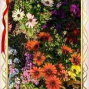 ヒメ日記 2025/02/14 21:59 投稿 石原　万美子 愛の雫～性格美人～